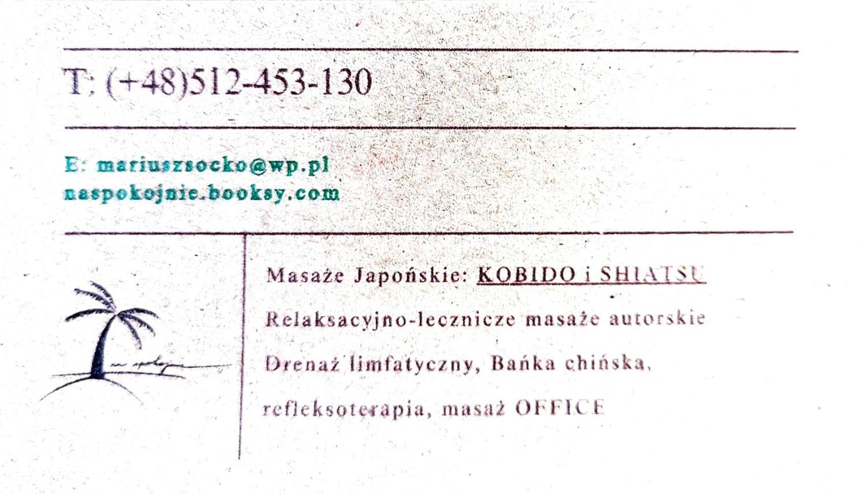 Hvile 30- Z Antresola, With An Entresol Stary Toruń Eksteriør billede